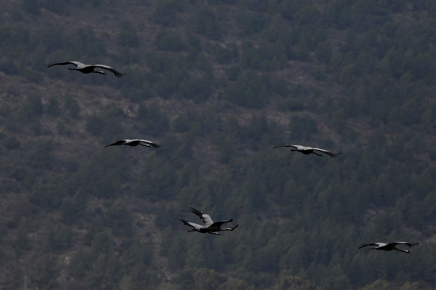 הטבע המרהיב בשמורת אגמון החולה • תיעוד