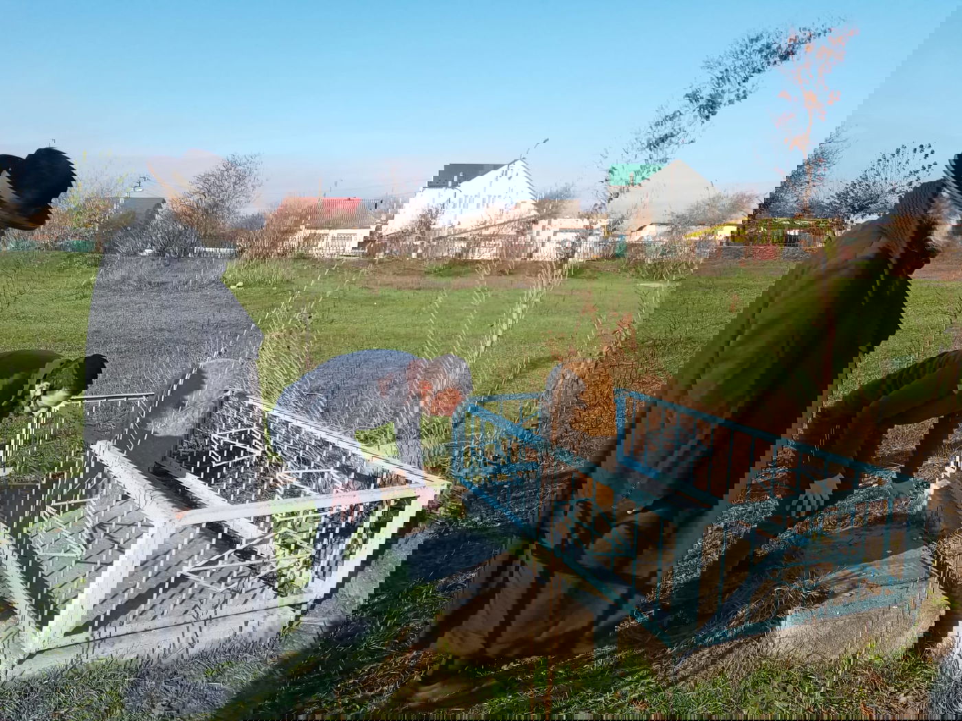 אומן: גויים הרסו את בית העלמין וכעת דורשים כסף על המקום