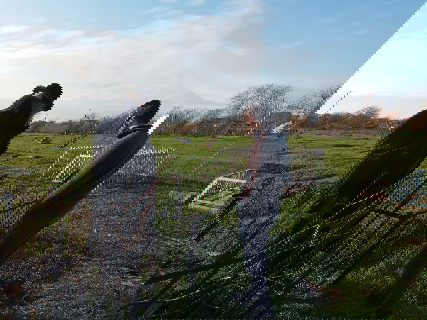 אומן: גויים הרסו את בית העלמין וכעת דורשים כסף על המקום