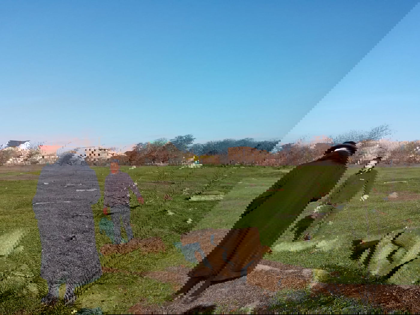 אומן: גויים הרסו את בית העלמין וכעת דורשים כסף על המקום