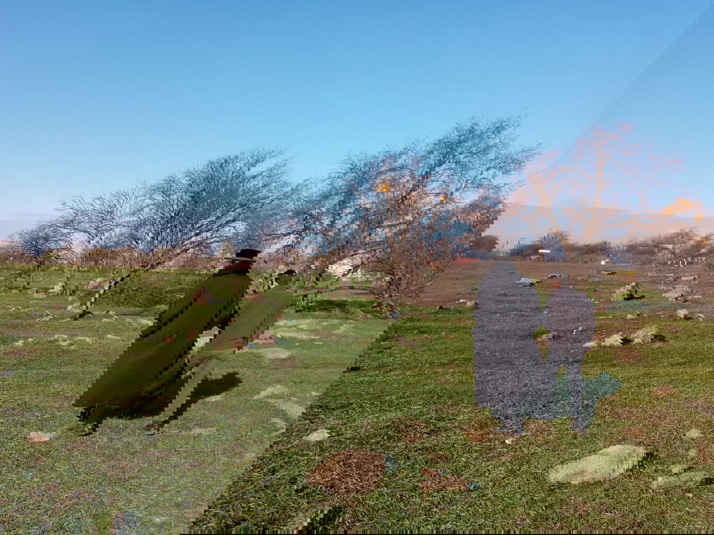 אומן: גויים הרסו את בית העלמין וכעת דורשים כסף על המקום