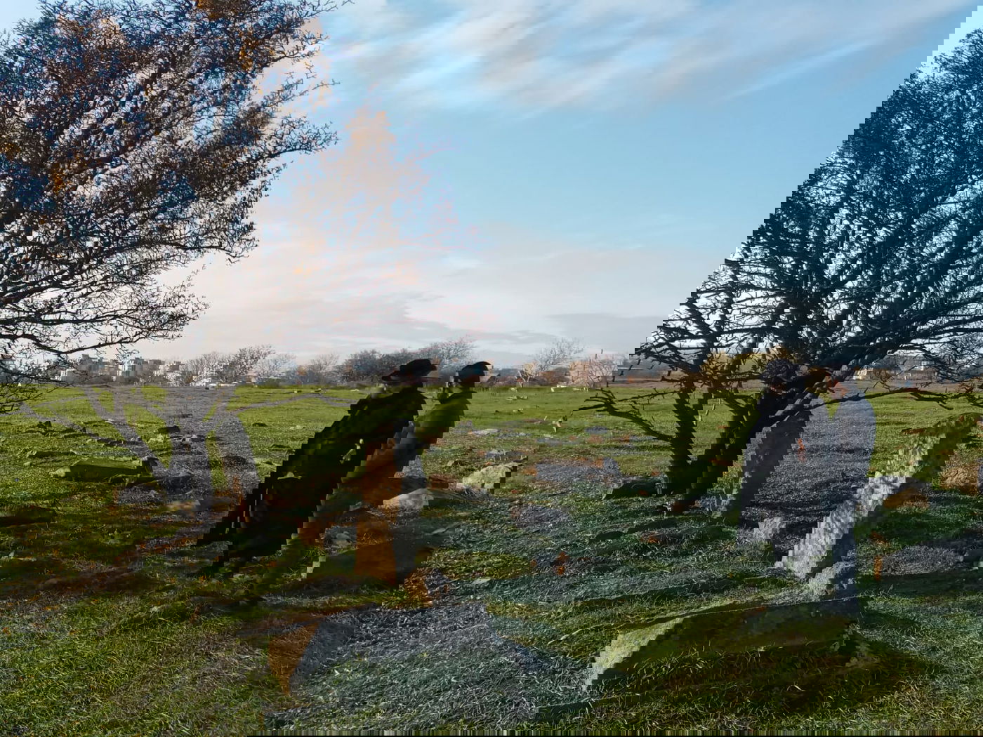 אומן: גויים הרסו את בית העלמין וכעת דורשים כסף על המקום