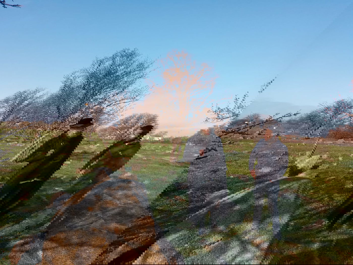 אומן: גויים הרסו את בית העלמין וכעת דורשים כסף על המקום