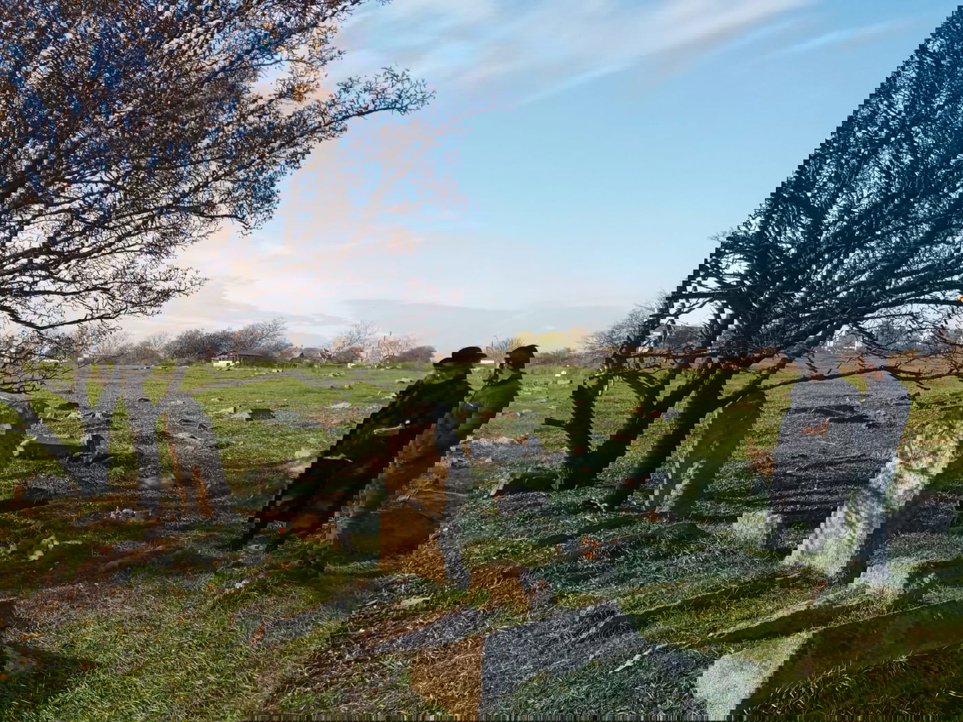 אומן: גויים הרסו את בית העלמין וכעת דורשים כסף על המקום