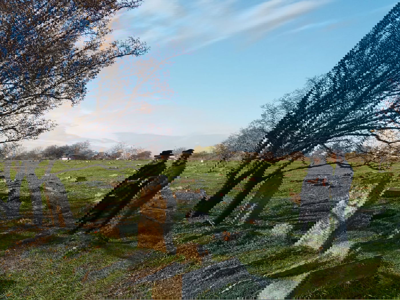 אומן: גויים הרסו את בית העלמין וכעת דורשים כסף על המקום