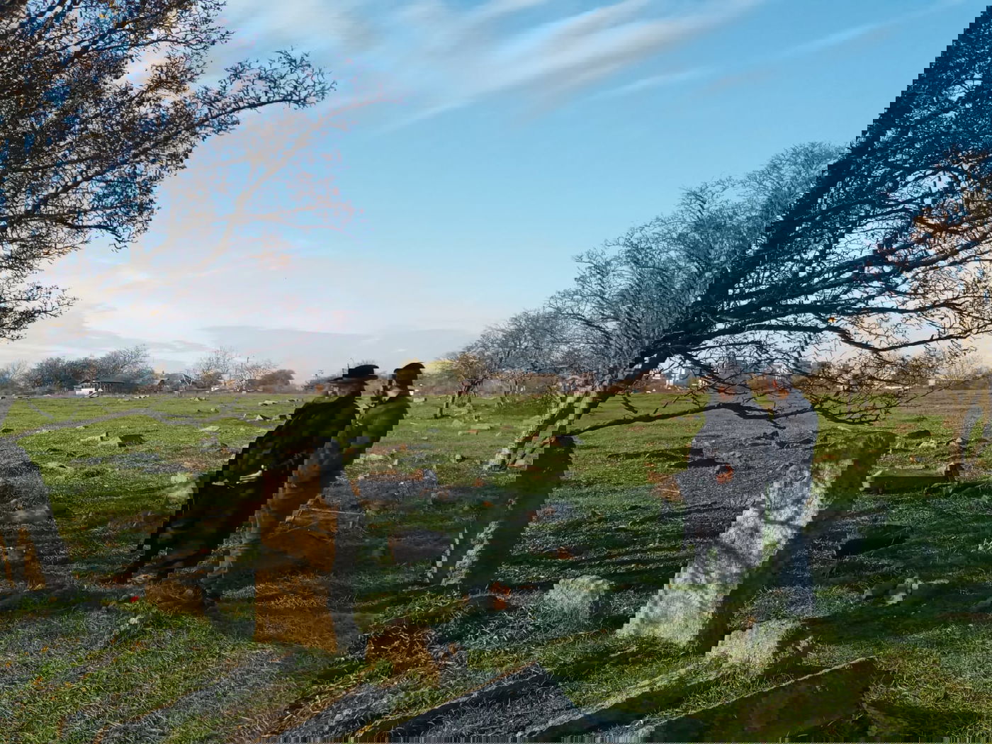 אומן: גויים הרסו את בית העלמין וכעת דורשים כסף על המקום