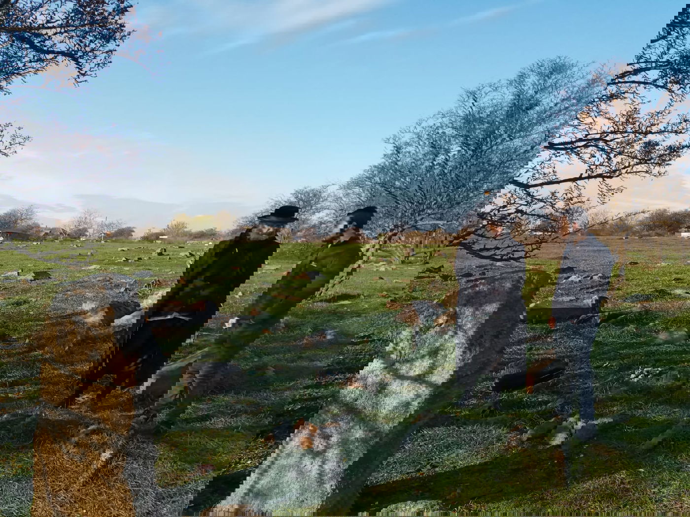 אומן: גויים הרסו את בית העלמין וכעת דורשים כסף על המקום