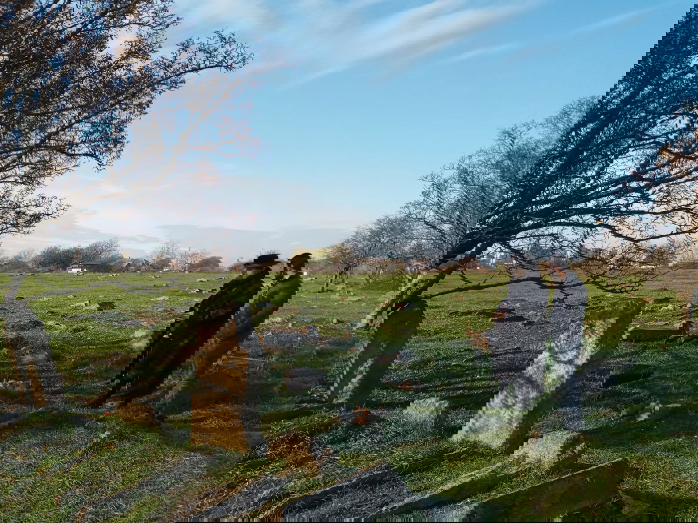 אומן: גויים הרסו את בית העלמין וכעת דורשים כסף על המקום