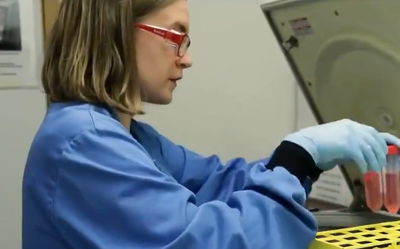 מתווך הוידאו