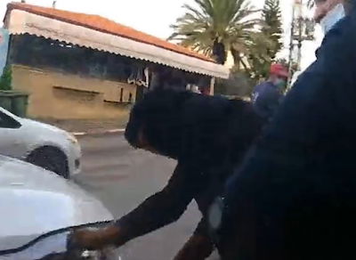 הכלבה שנמצאה