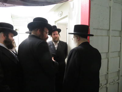 במהלך הסיור