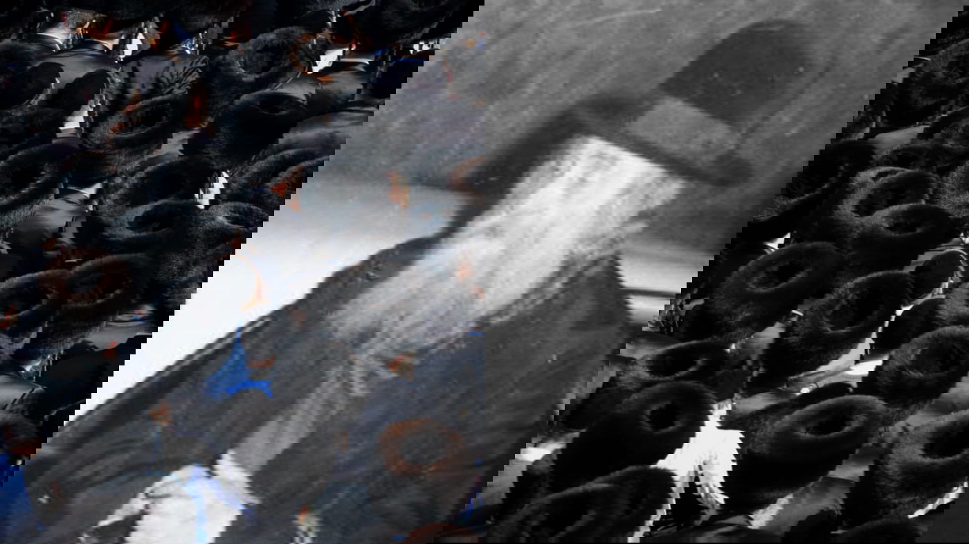 האדמו"ר זצ"ל, וחסידי גור