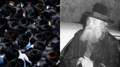 האדמו"ר זצ"ל, וחסידי גור