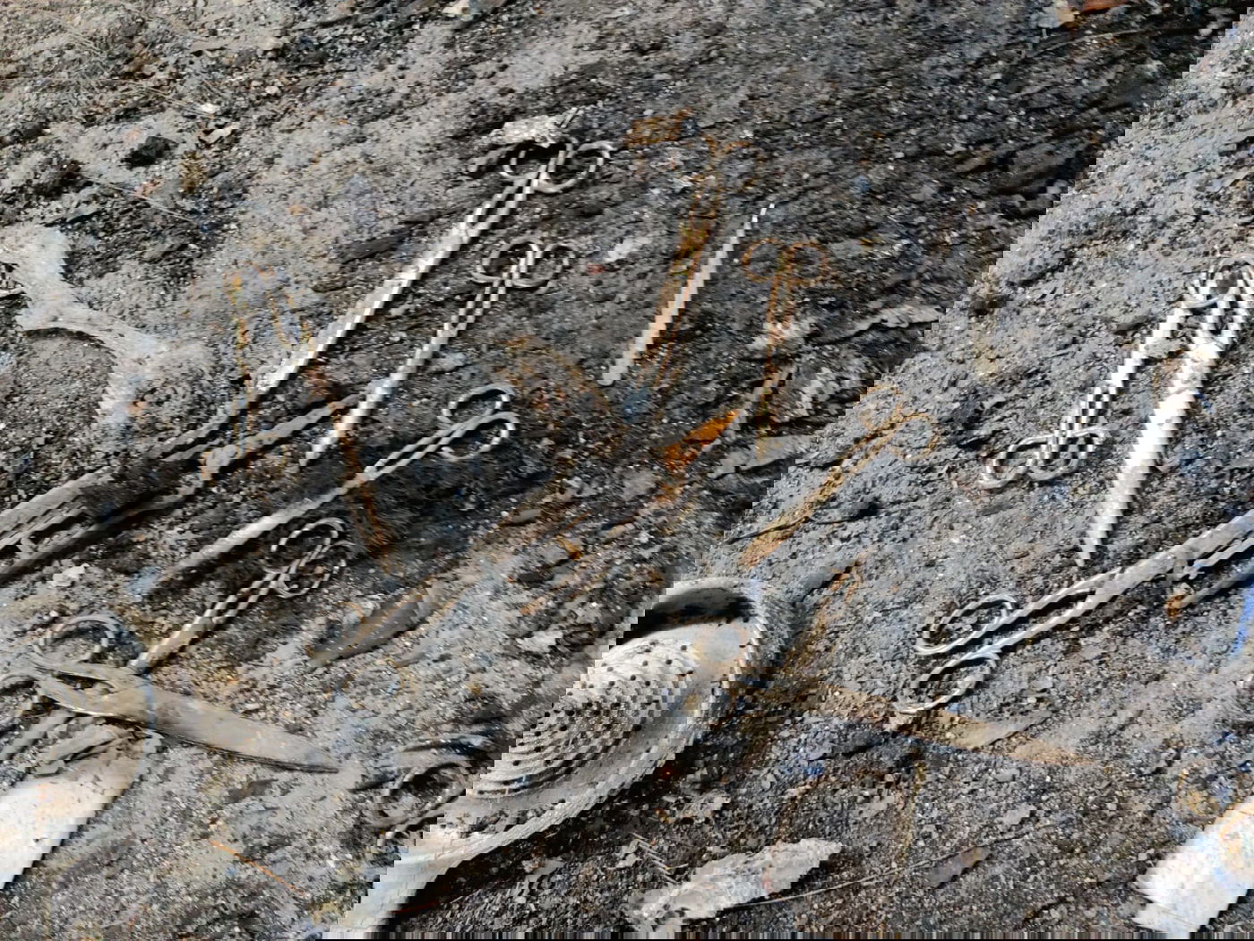 מלכה מצאה את ירושת הסב במחסן השרוף