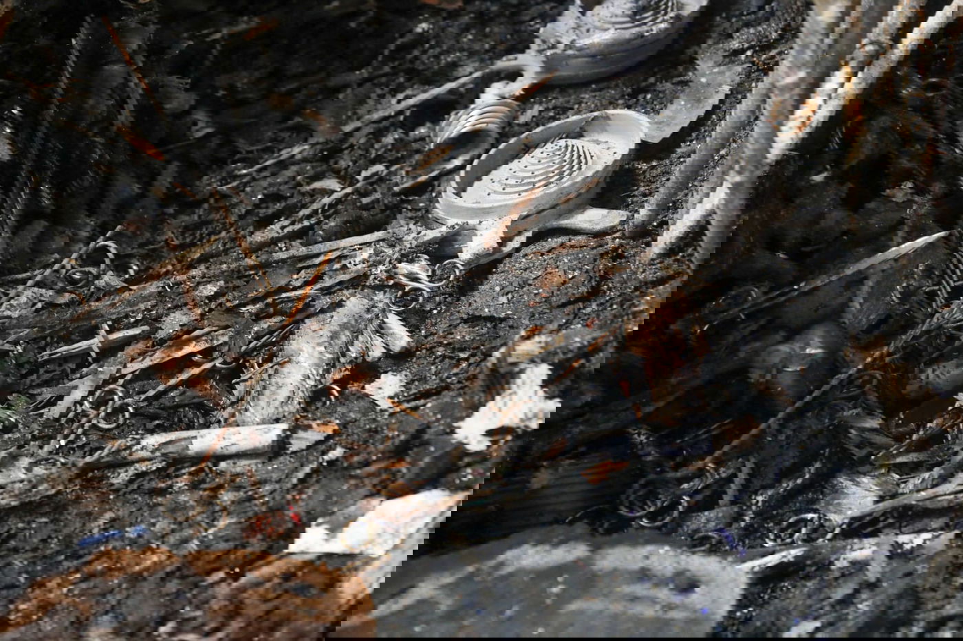 מלכה מצאה את ירושת הסב במחסן השרוף