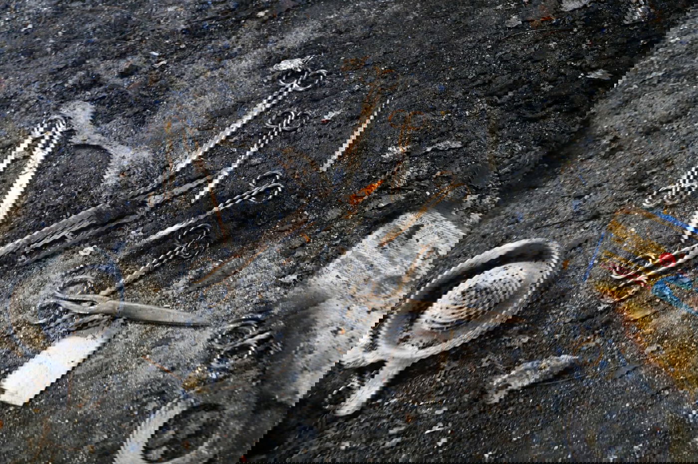 מלכה מצאה את ירושת הסב במחסן השרוף