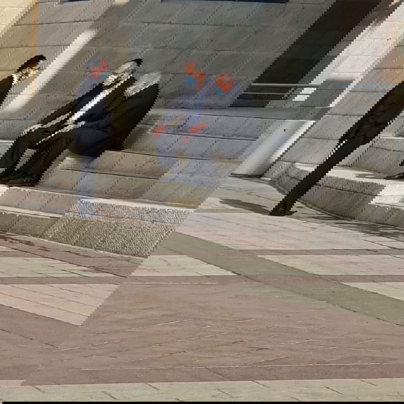 זופניק בכיכר • כל התמונות והנייעס של השבוע