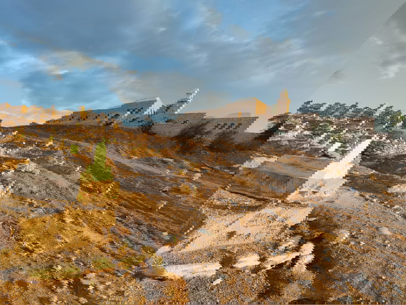 תיעוד חורפי: 'חוף קליה' הנטוש ו'נבי מוסא'