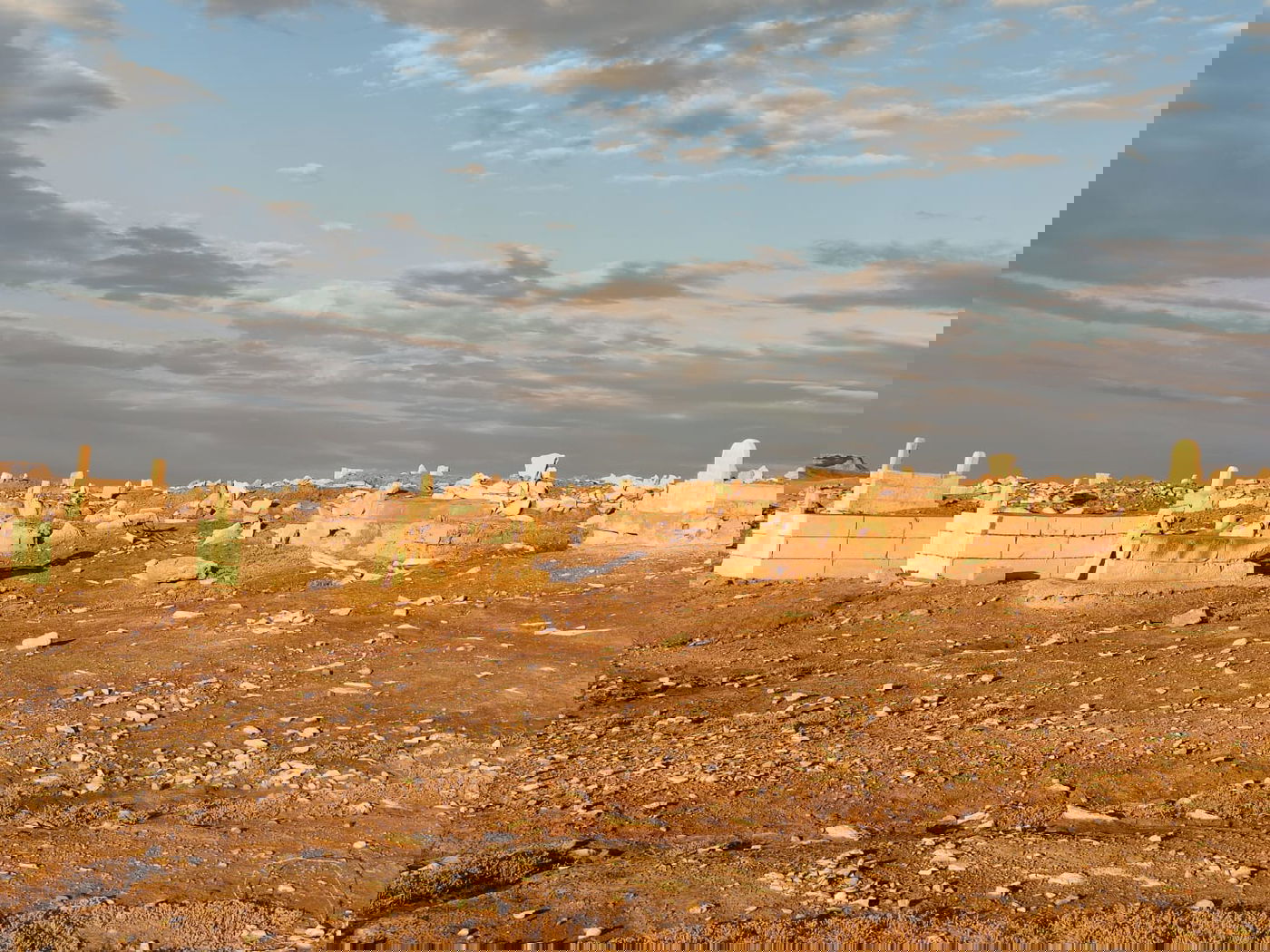 תיעוד חורפי: 'חוף קליה' הנטוש ו'נבי מוסא'