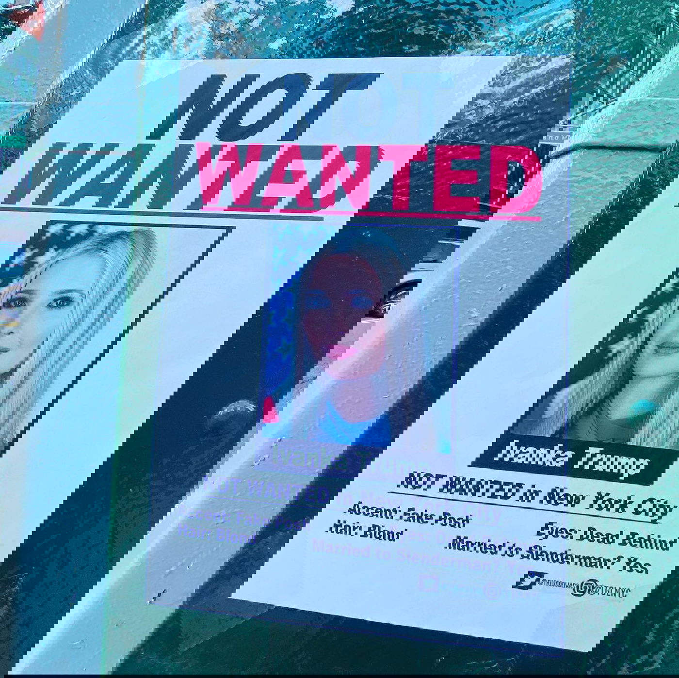 "לא מבוקשת": קמפיין נגד איוונקה טראמפ