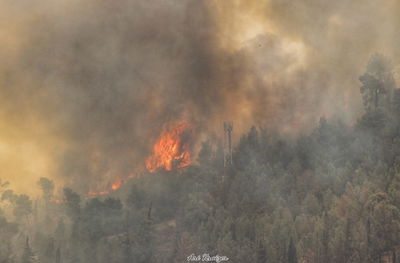 סוד האש: אסון הכרמל והדלקת נרות חנוכה