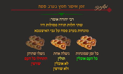 מסכת פסחים, דף י"א • סיכום והמחשה של הדף היומי