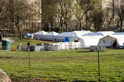 בית חולים שדה בניו יורק