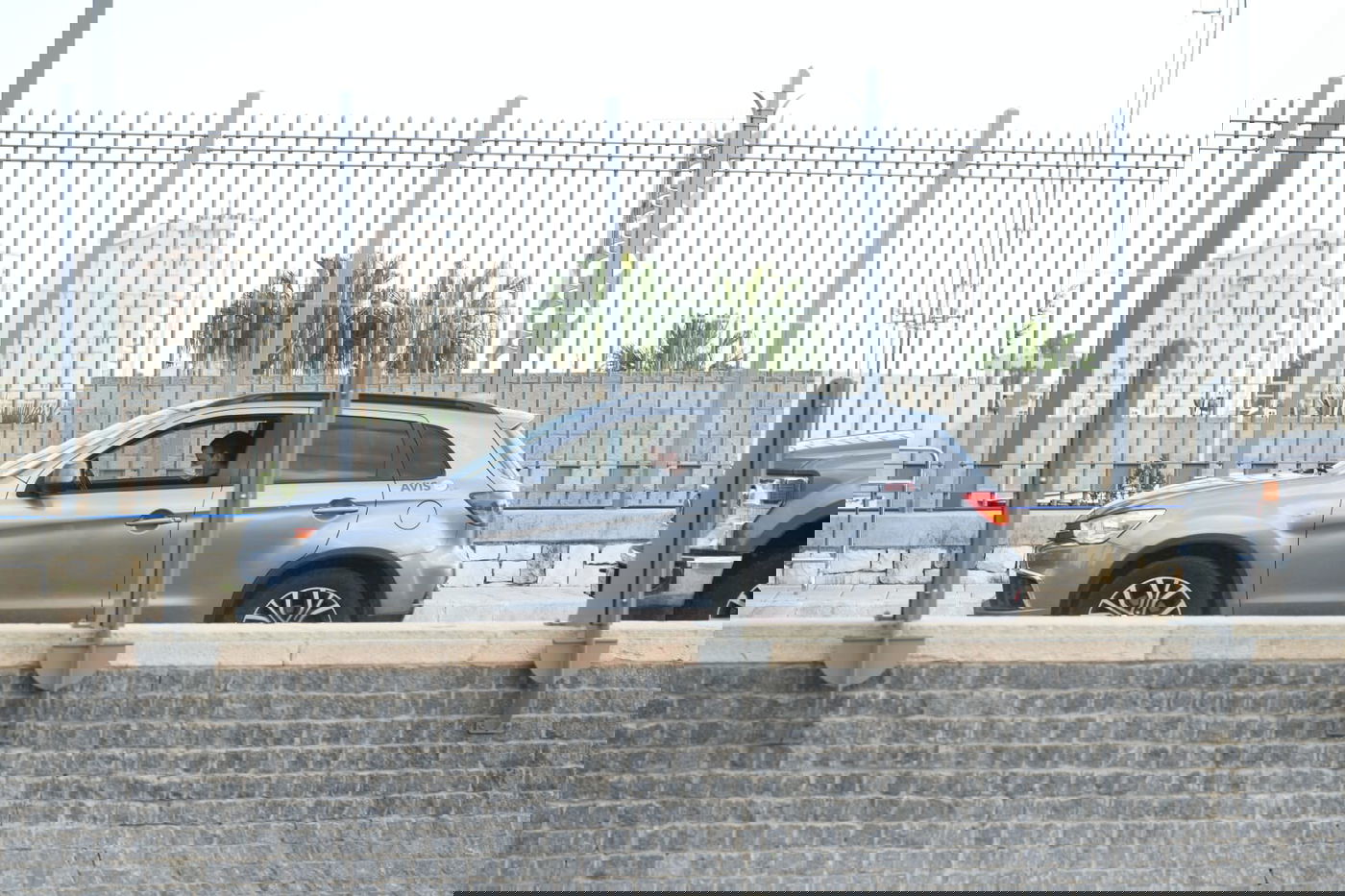 זופניק בכיכר • כל התמונות והנייעס של השבוע