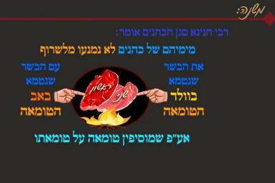 מסכת פסחים, דף י"ד • סיכום והמחשה של הדף היומי