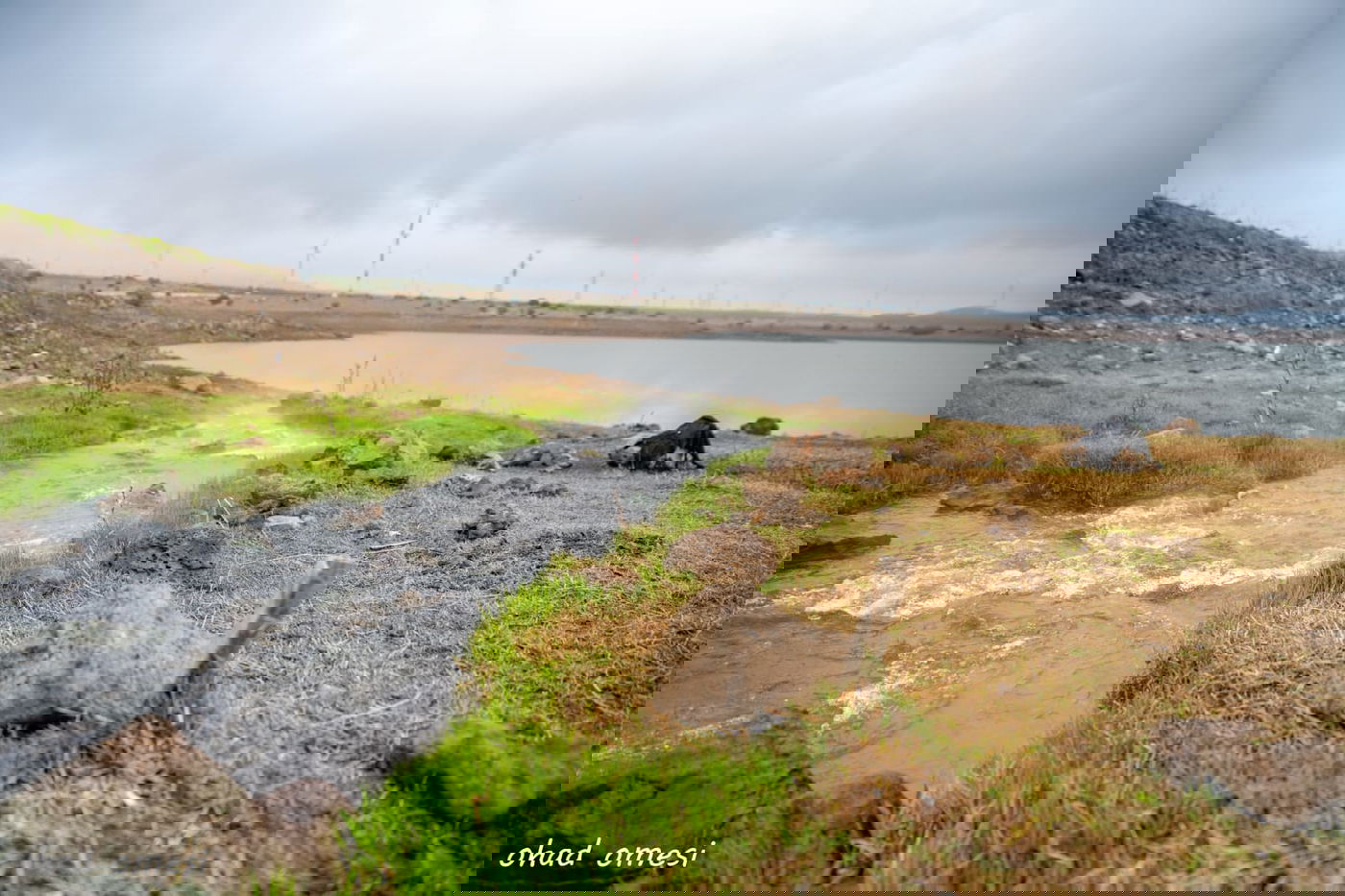 זרימת המים החמים במאגר בנטל - וציפורים