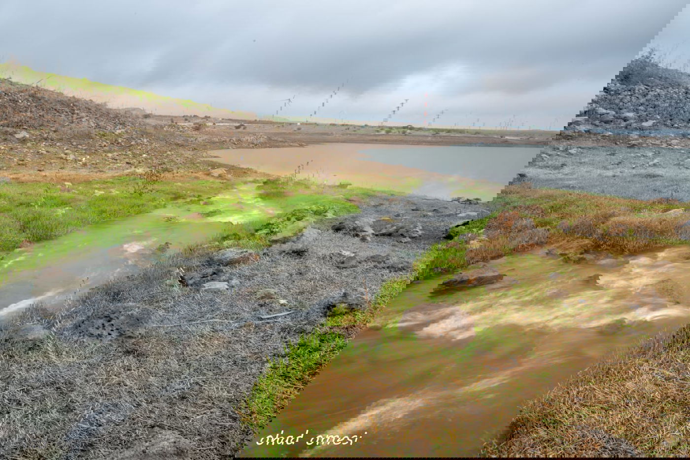 זרימת המים החמים במאגר בנטל - וציפורים