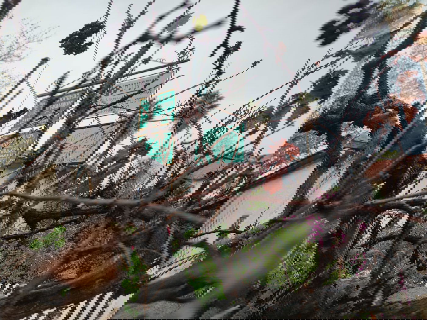 זכרון יעקב בחורף: מ'גריינמן' עד הטיילת • צפו