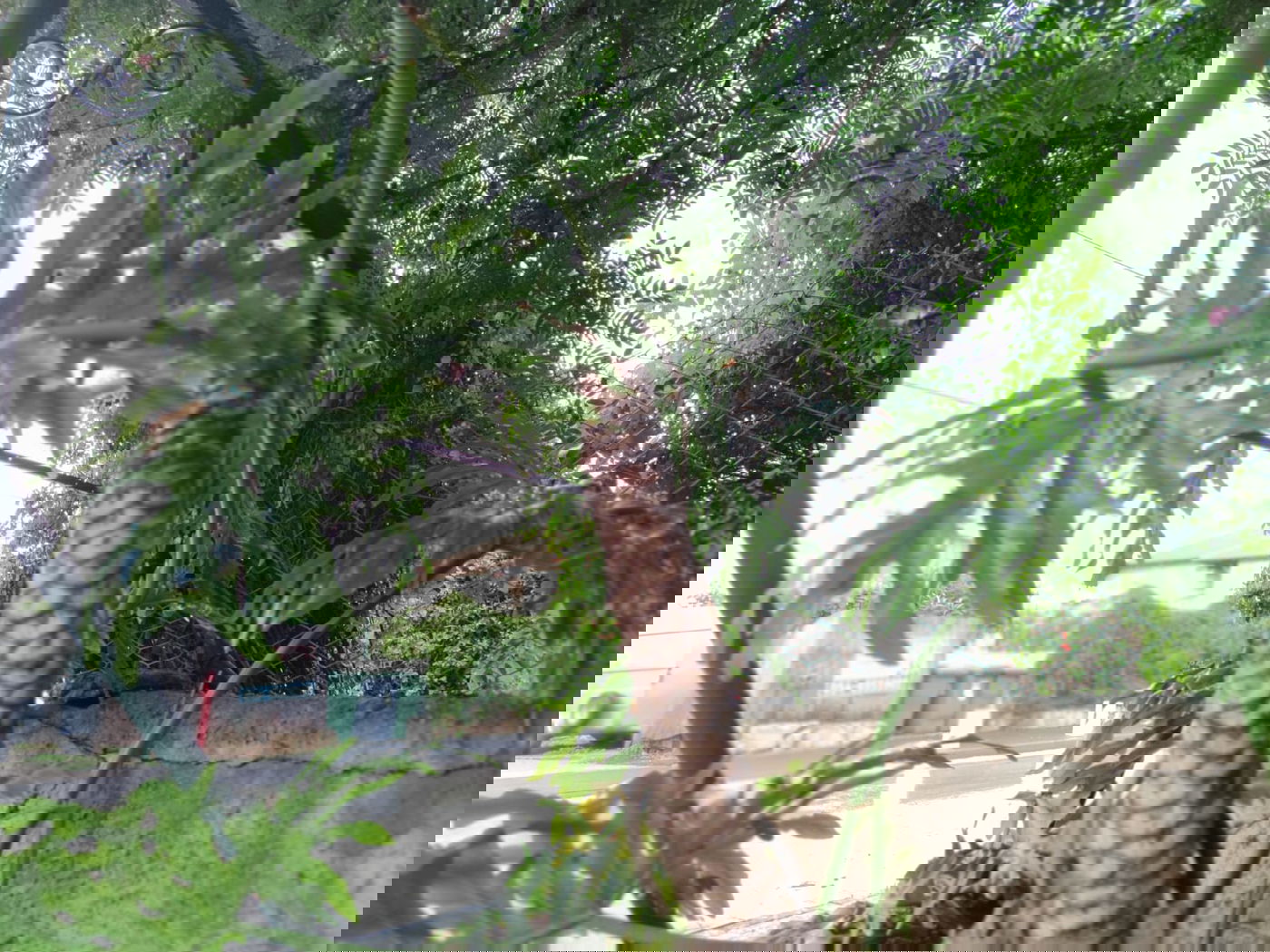 זכרון יעקב בחורף: מ'גריינמן' עד הטיילת • צפו