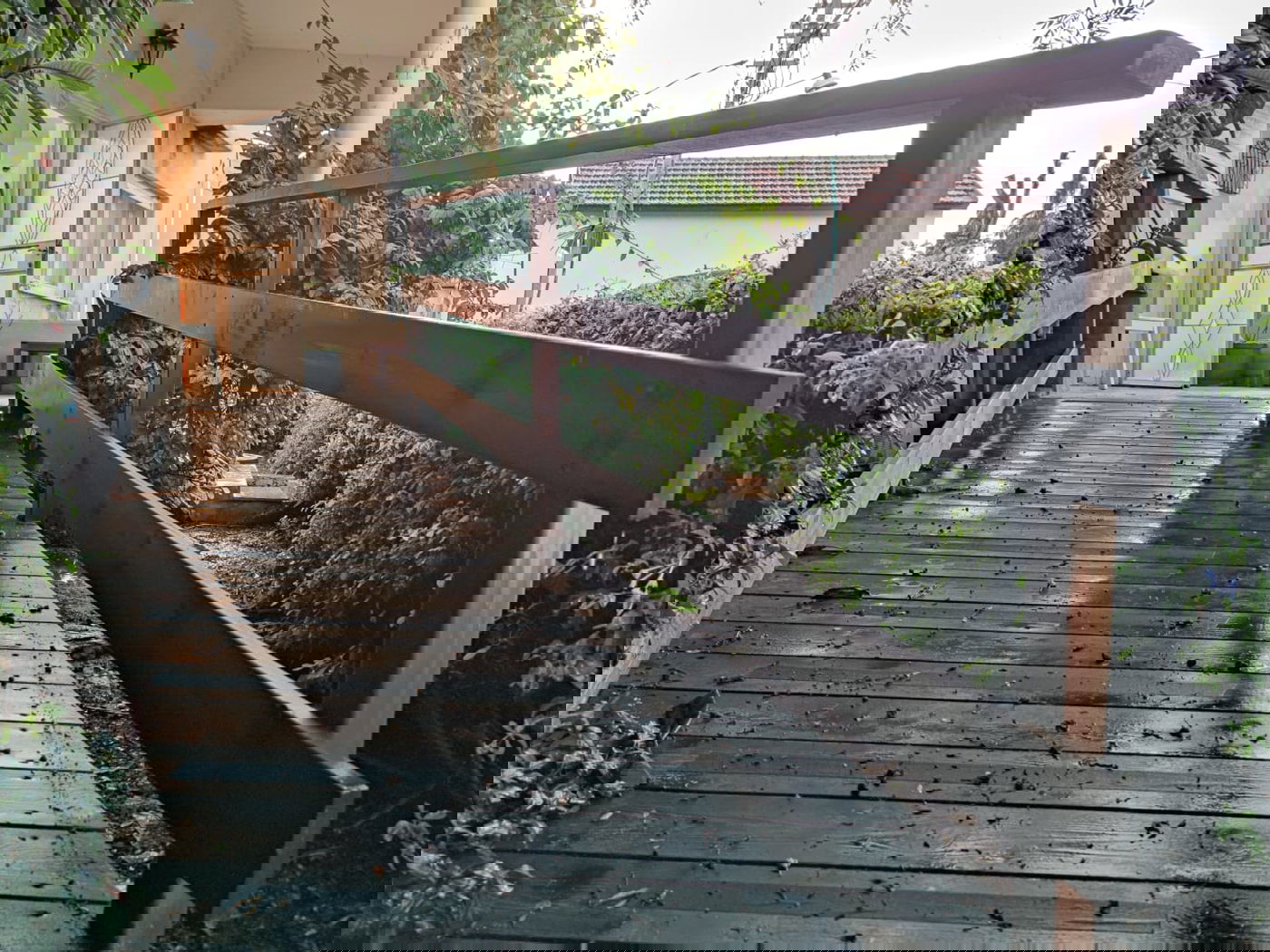 זכרון יעקב בחורף: מ'גריינמן' עד הטיילת • צפו