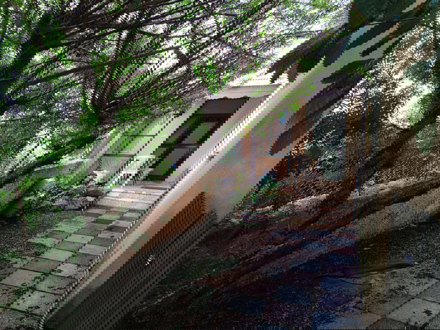 זכרון יעקב בחורף: מ'גריינמן' עד הטיילת • צפו