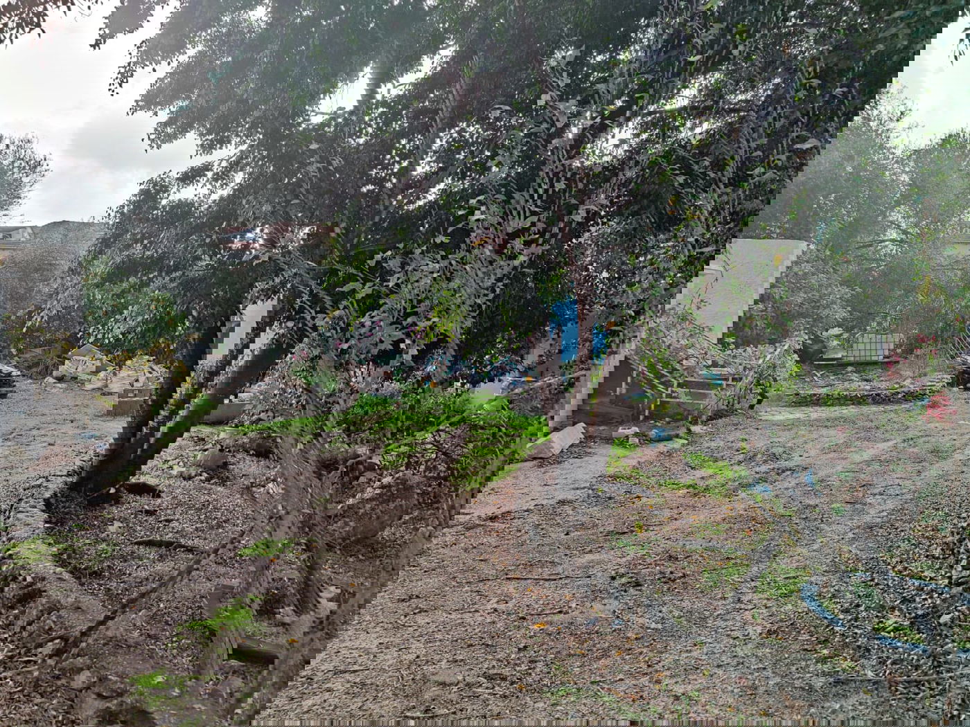 זכרון יעקב בחורף: מ'גריינמן' עד הטיילת • צפו