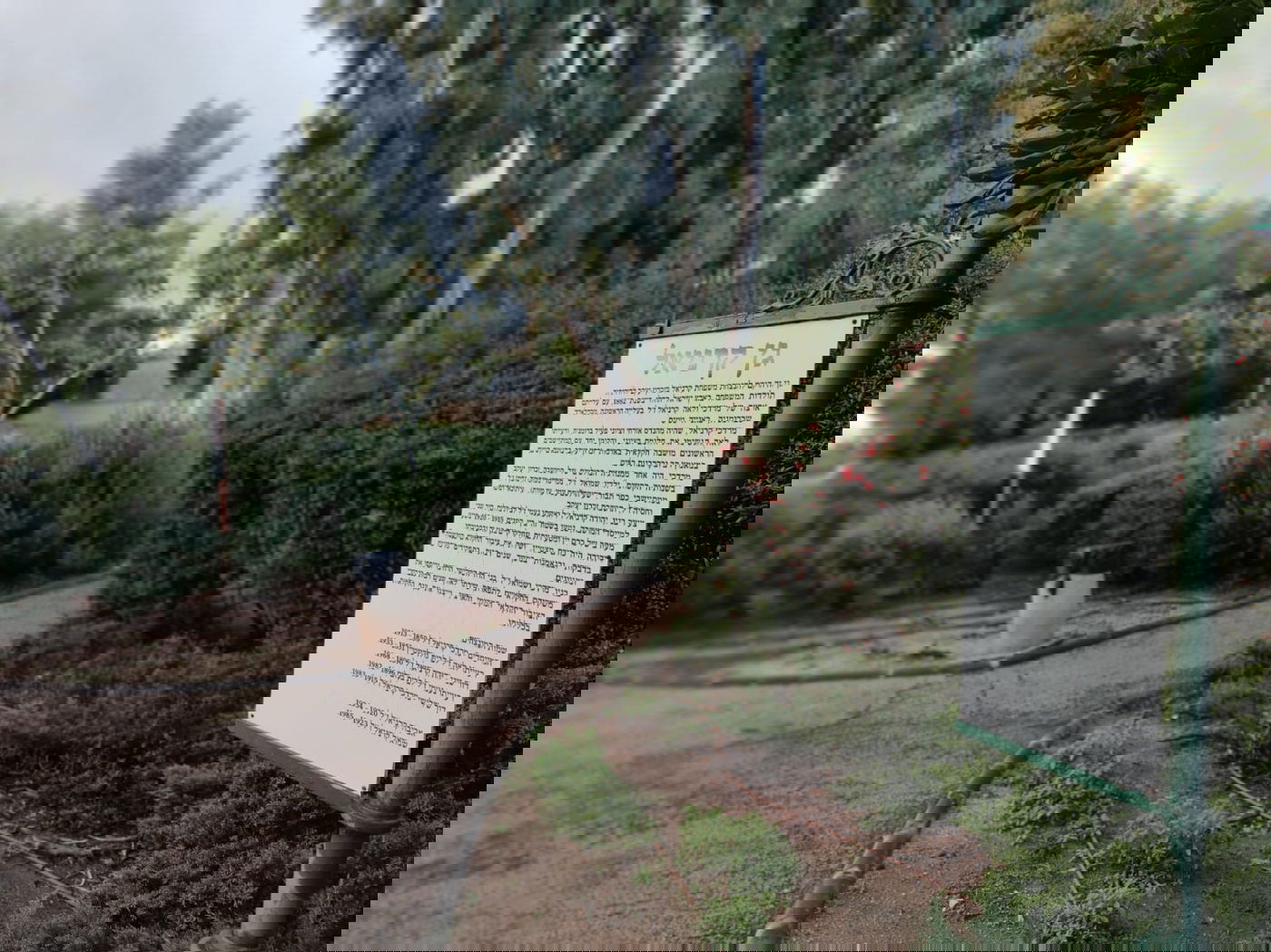 זכרון יעקב בחורף: מ'גריינמן' עד הטיילת • צפו