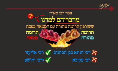 מסכת פסחים, דף ט"ו • סיכום והמחשה של הדף היומי