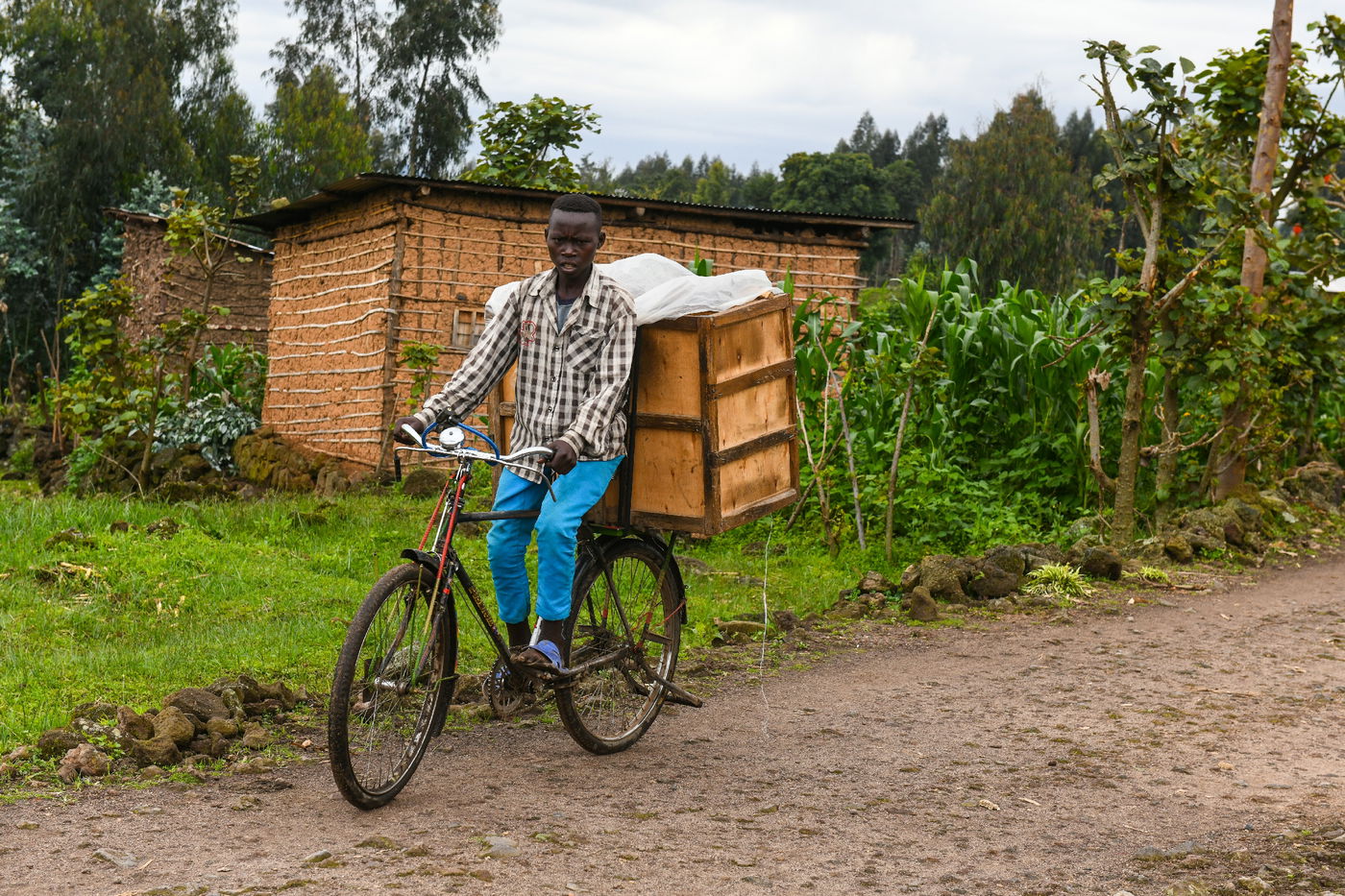 כשהצלם מאיר אלפסי ביקר ברואנדה; כך זה נראה