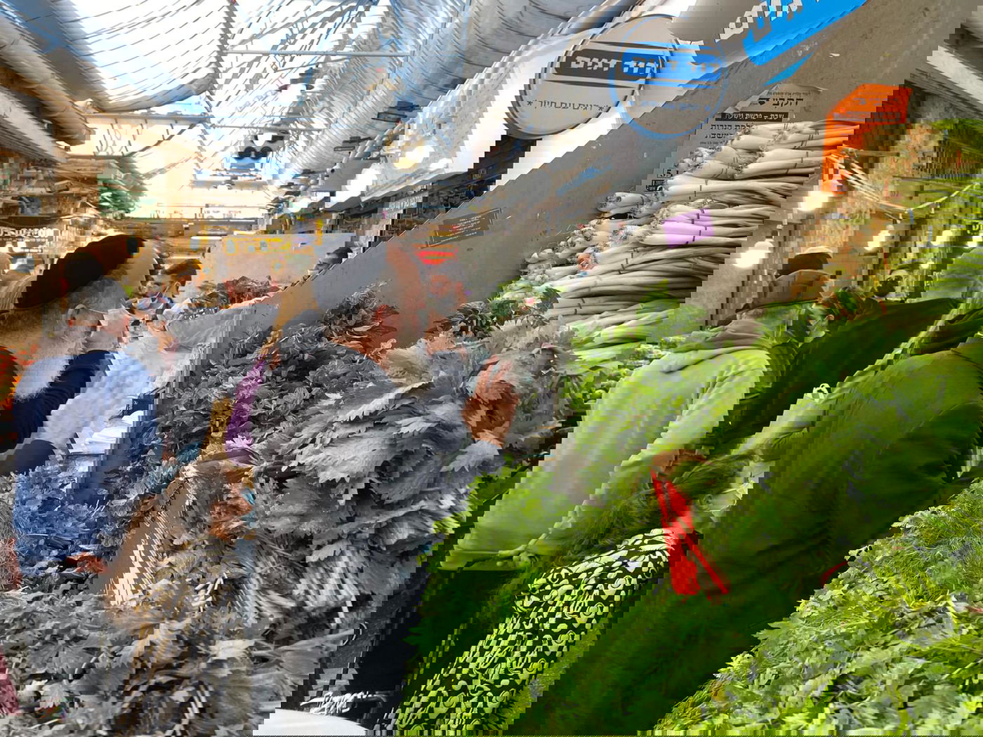 זופניק בכיכר • כל התמונות והנייעס של השבוע