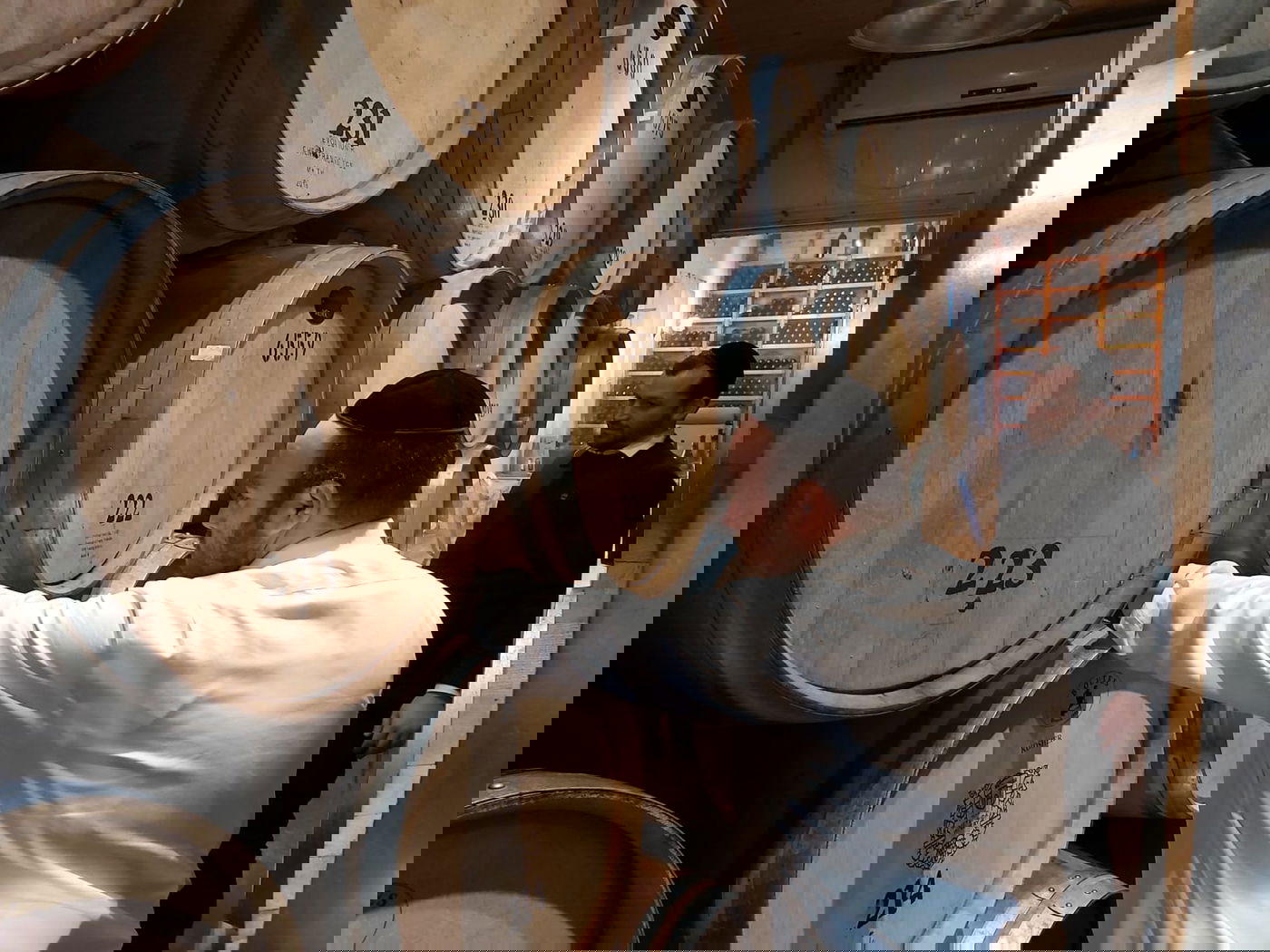 זופניק בכיכר • כל התמונות והנייעס של השבוע