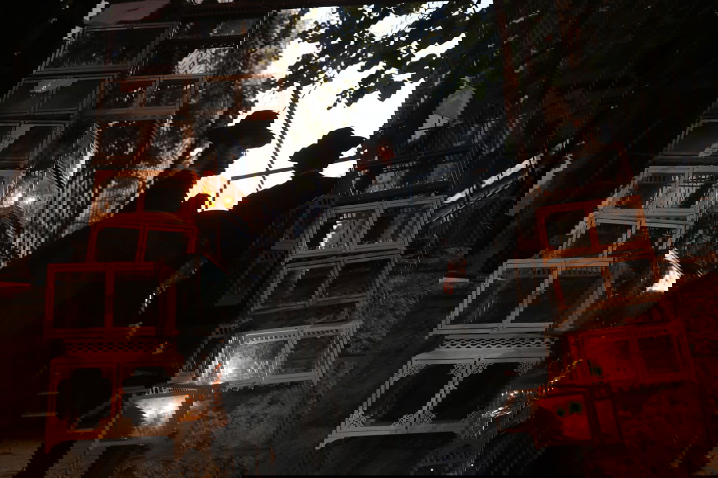 הדלקה 'בריסקאית': תלמידי הישיבה בירכו ושרו בכוונה