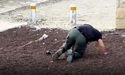 נטרול הרימון