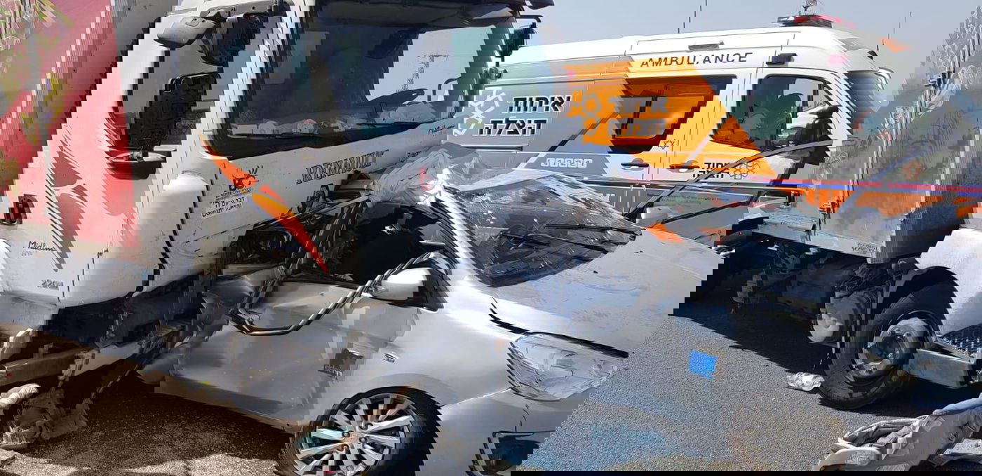 ארכיון, אילוסטרציה