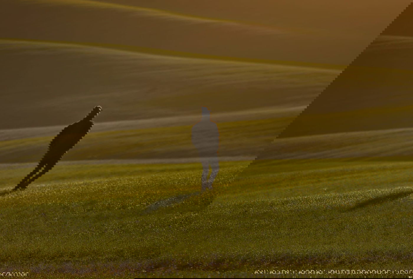 וואו! תיעוד מרהיב משמורת בתרונות רוחמה