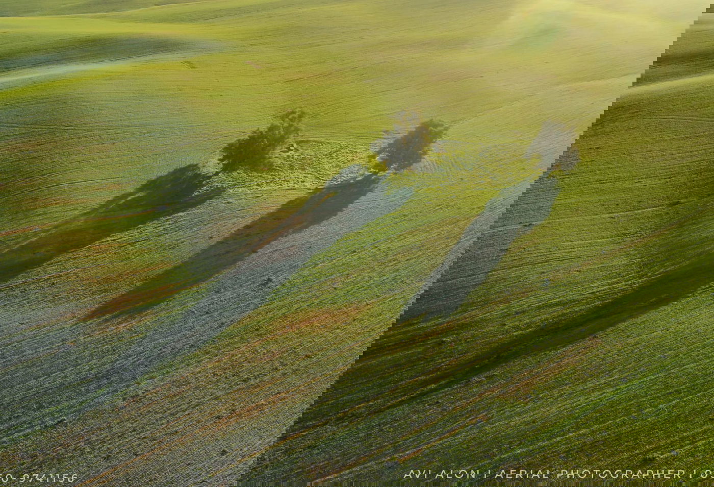 וואו! תיעוד מרהיב משמורת בתרונות רוחמה
