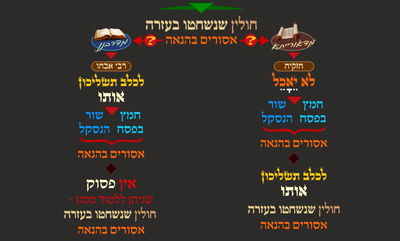 מסכת פסחים, דף כ"ג • סיכום והמחשה של הדף היומי