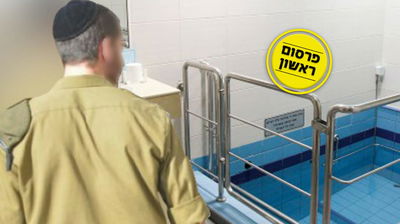 אילוסטרציה/עיבוד תמונה