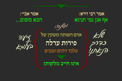 מסכת פסחים, דף כ"ד • סיכום והמחשה של הדף היומי