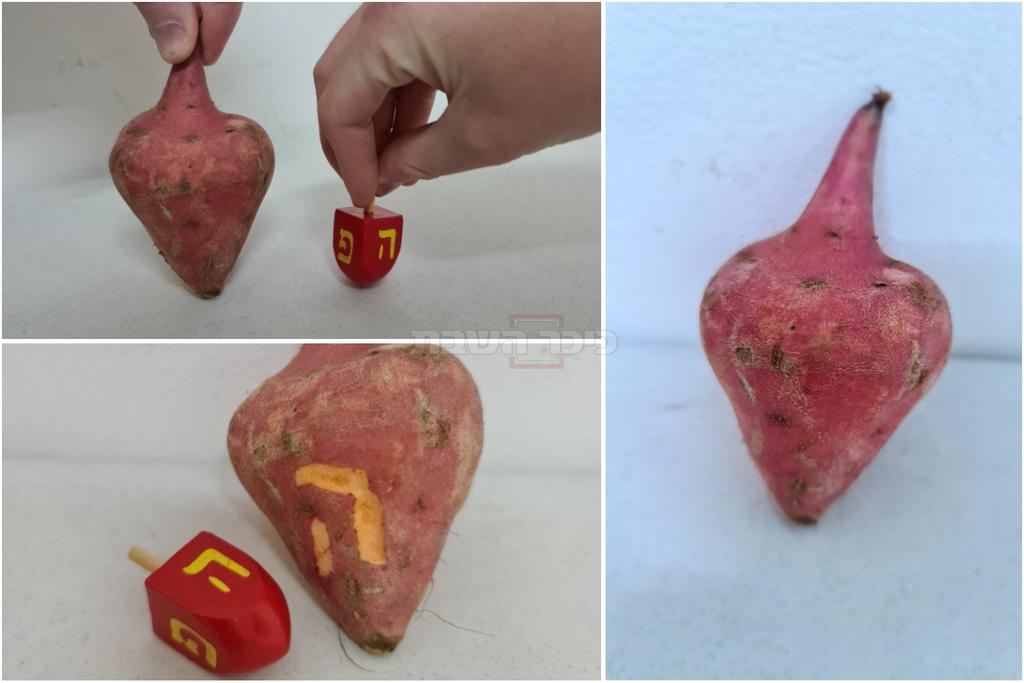 הפתעה לחנוכה: בטטה בצורת... סביבון; צפו